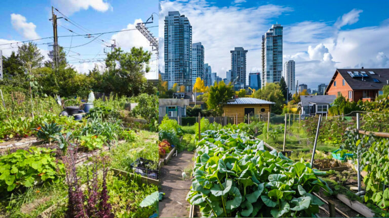 Urban Farming