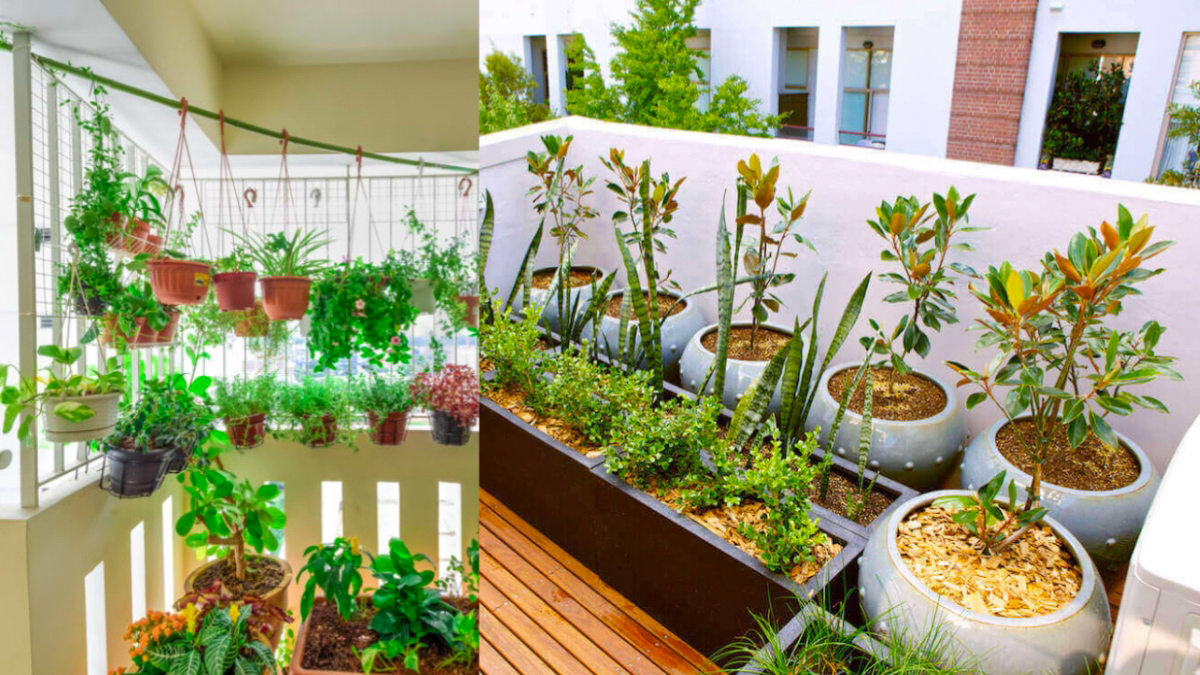 Apartment Gardening