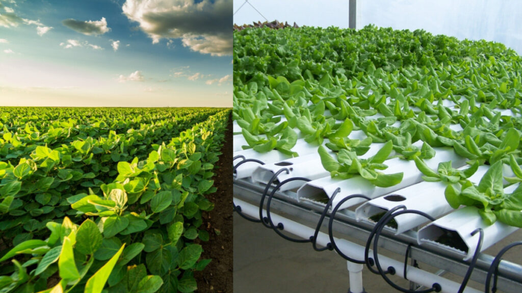 Maximize Yields