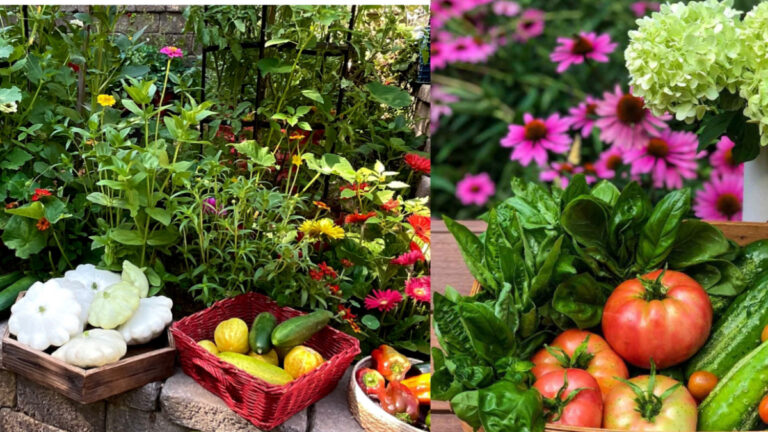 Organic Gardening